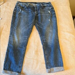 Silver Jeans Co. Blue Denim 001